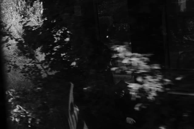 A black and white image with blurred foliage and abstract shapes, creating a mysterious and shadowy atmosphere