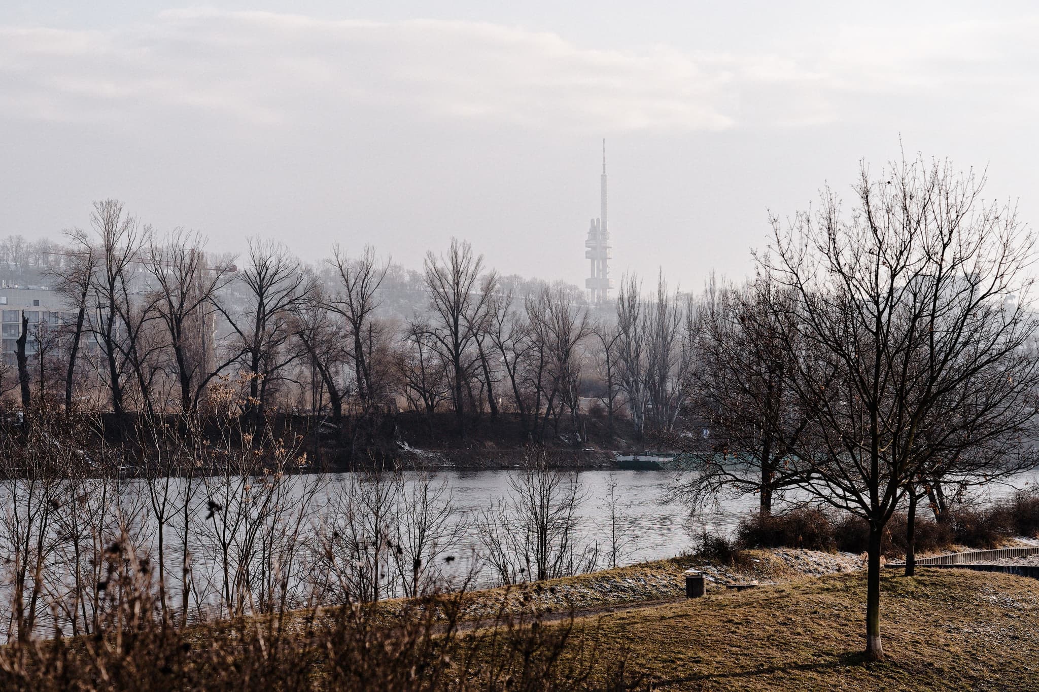 A serene riverside scene with bare trees, a calm river, and a misty atmosphere A tall structure is visible in the background, and the foreground features a grassy area with a few scattered trees