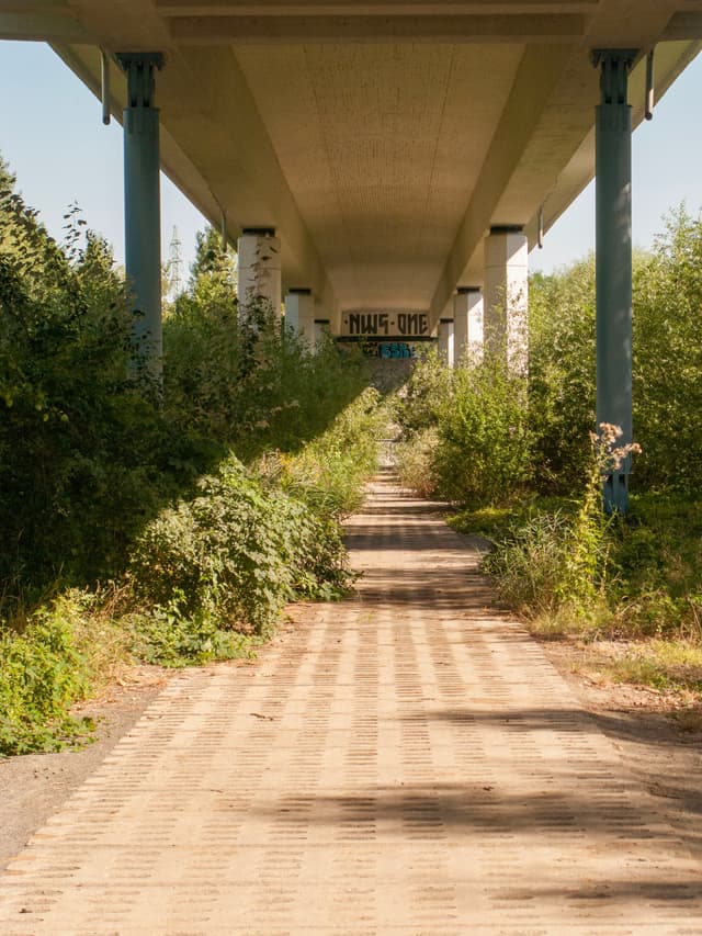 A paved pathway runs under a bridge, flanked by dense green foliage on both sides, with sunlight filtering through