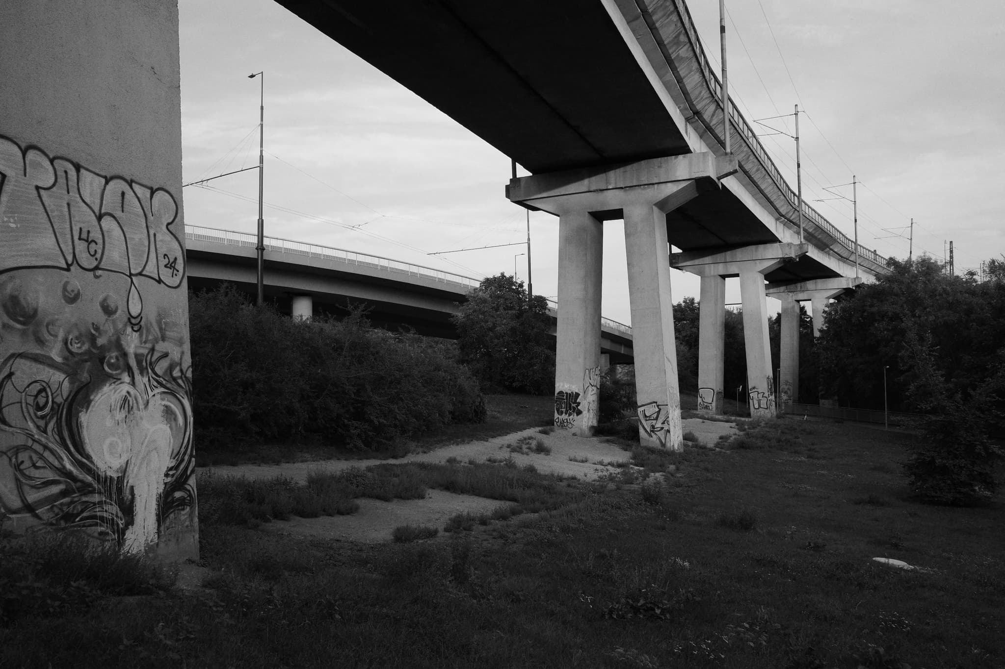 A black and white scene featuring an elevated highway with graffiti on the supporting pillars, surrounded by grass and trees