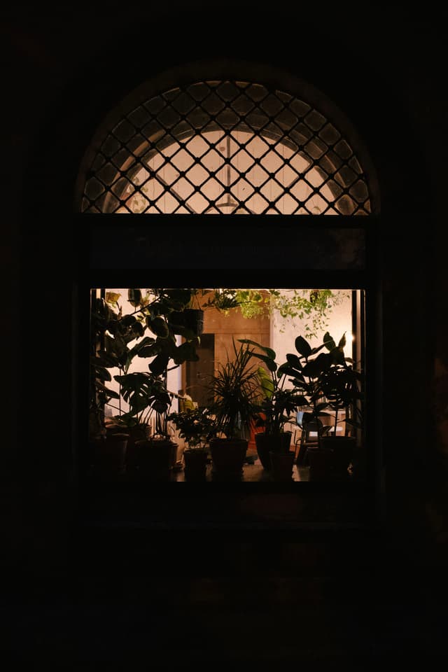 A dimly lit window with a grid pattern reveals an interior filled with various potted plants, creating a cozy and inviting atmosphere