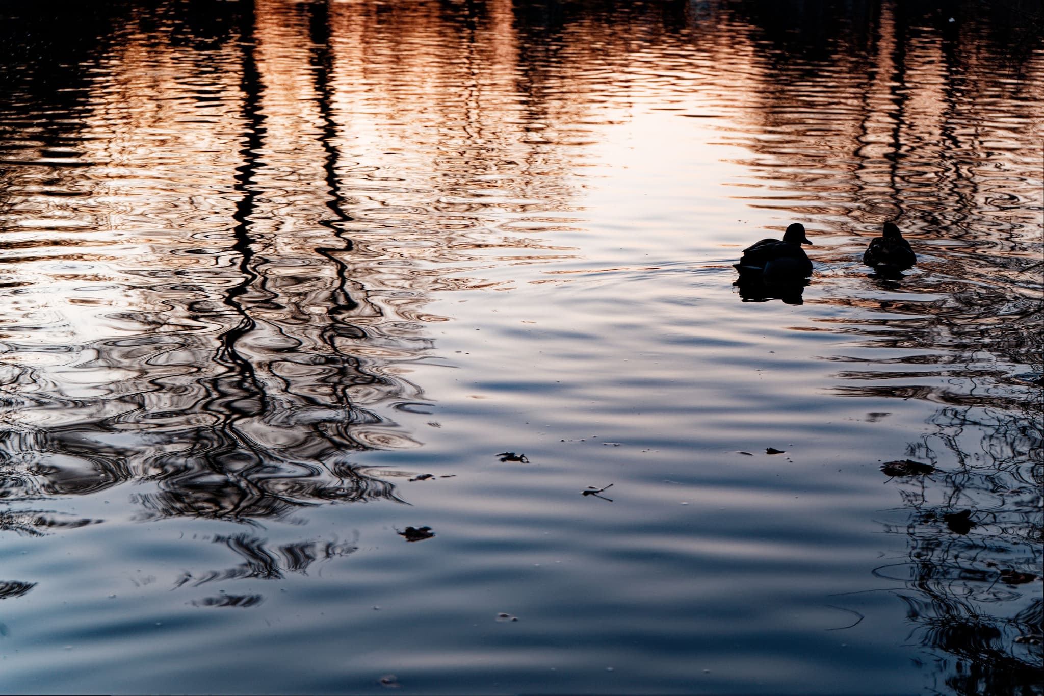 Ripples of Dusk