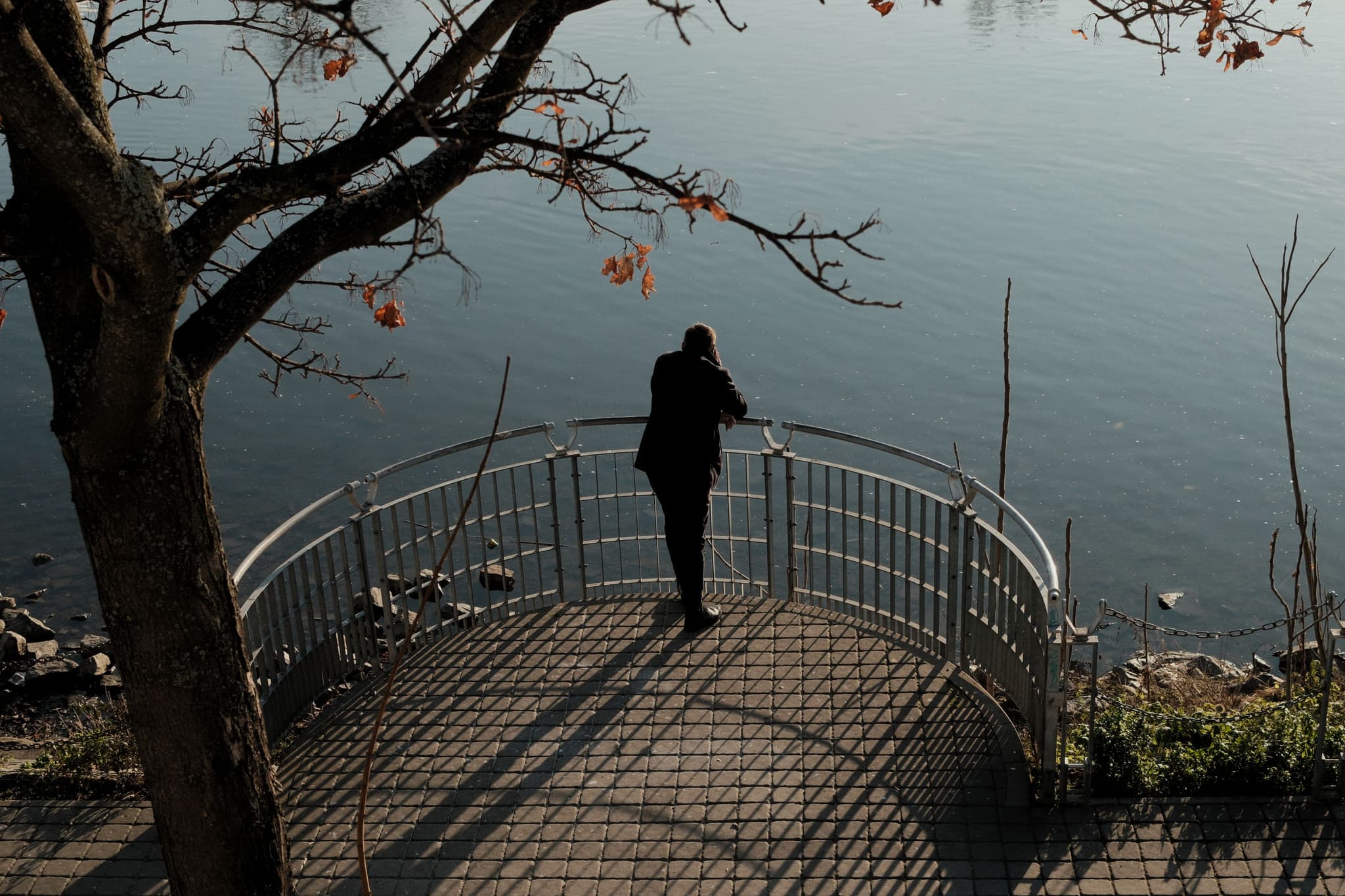 A person standing on a small platform by a body of water, surrounded by a metal railing, with a tree branch overhead